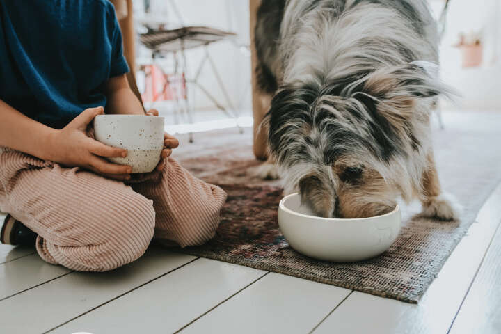 HUNTER Keramik-Napf Lund